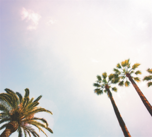 Tapestries - Sun in Trees