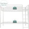 Twin over Twin Modern Metal Bunk Bed with Ladder