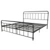 Vintage Metal Platform Bed Frame with Headboard and Footboard