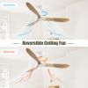 60 Inch Indoor Modern Ceiling Fan With 3 Color Dimmable 6 Speed Remote Control 3 Solid Wood Blade For Living Room