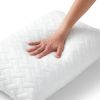 Shredded Memory Foam Bed Pillows with 2 Pillowcases