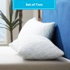 Shredded Memory Foam Bed Pillows with 2 Pillowcases
