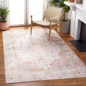 Traditional Persian Style Washable Boho Area Rug