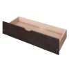 Twin Size Daybed Wood Bed with Two Drawers