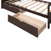 Twin Size Daybed Wood Bed with Two Drawers
