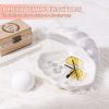 Shell Pearl Light LED Accent Lamp Portable Night Light
