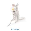 Creative Nordic Resin Mouse Table Lamp with Warm LED Light