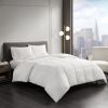 Sleep Philosophy Thinsulate Featherless King Comforter 104x90